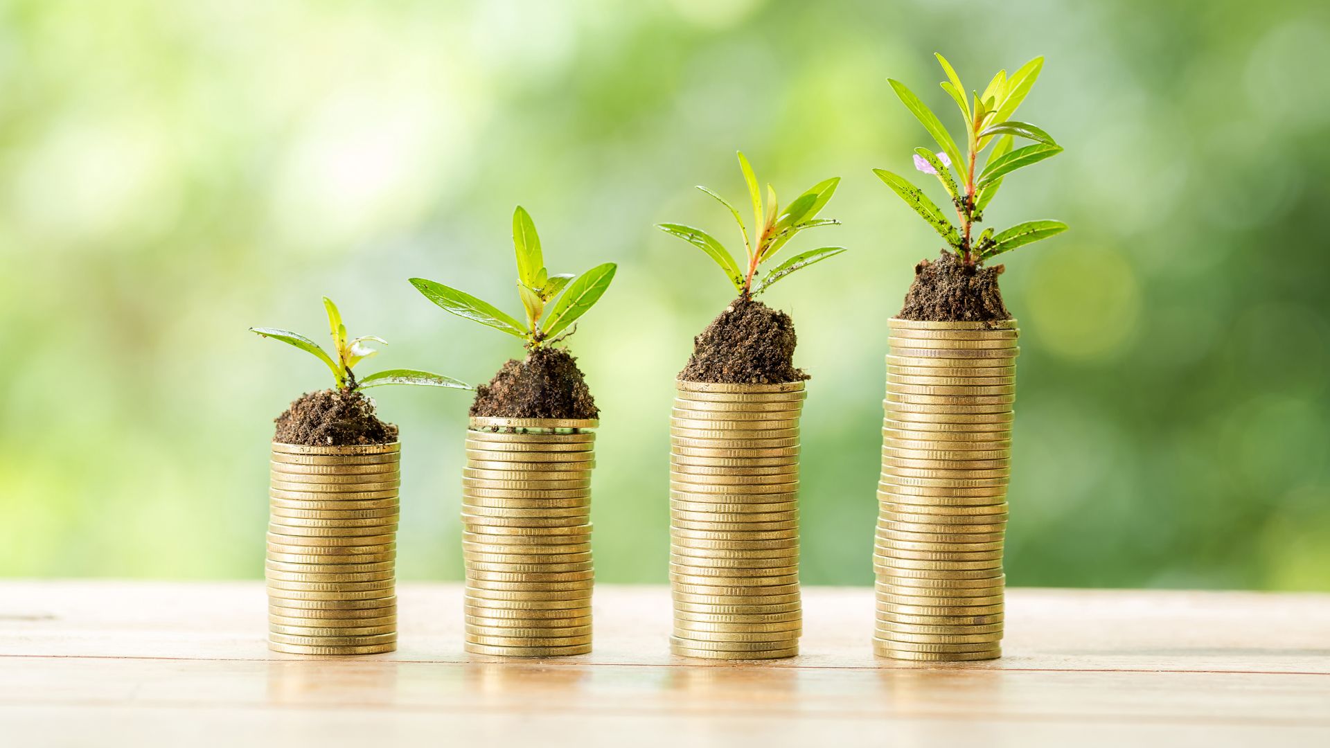 Seed Funding: What Is It and How It Works?