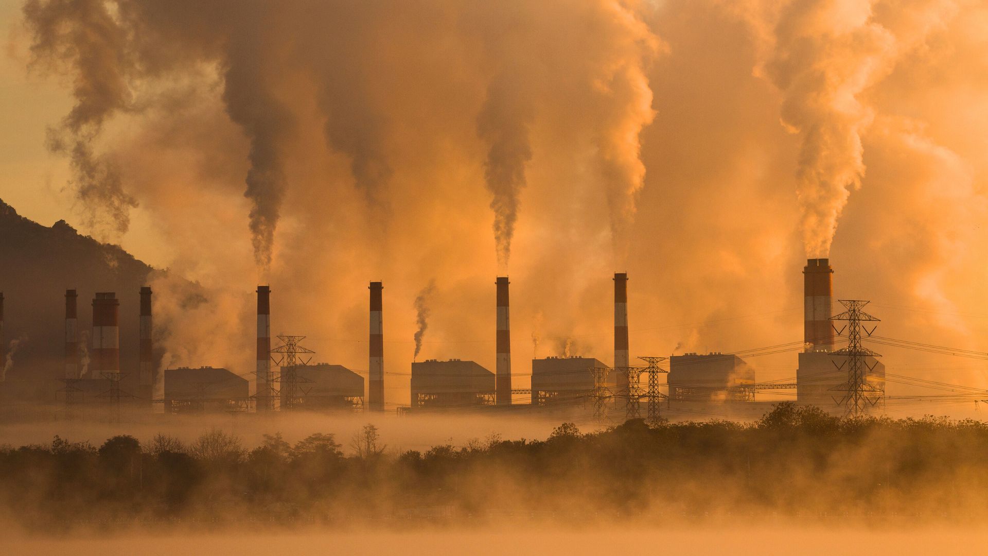 Which Type of Pollution Includes CFCs and Smog?